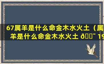 67属羊是什么命金木水火土（属羊是什么命金木水火土 🐯 1991年）